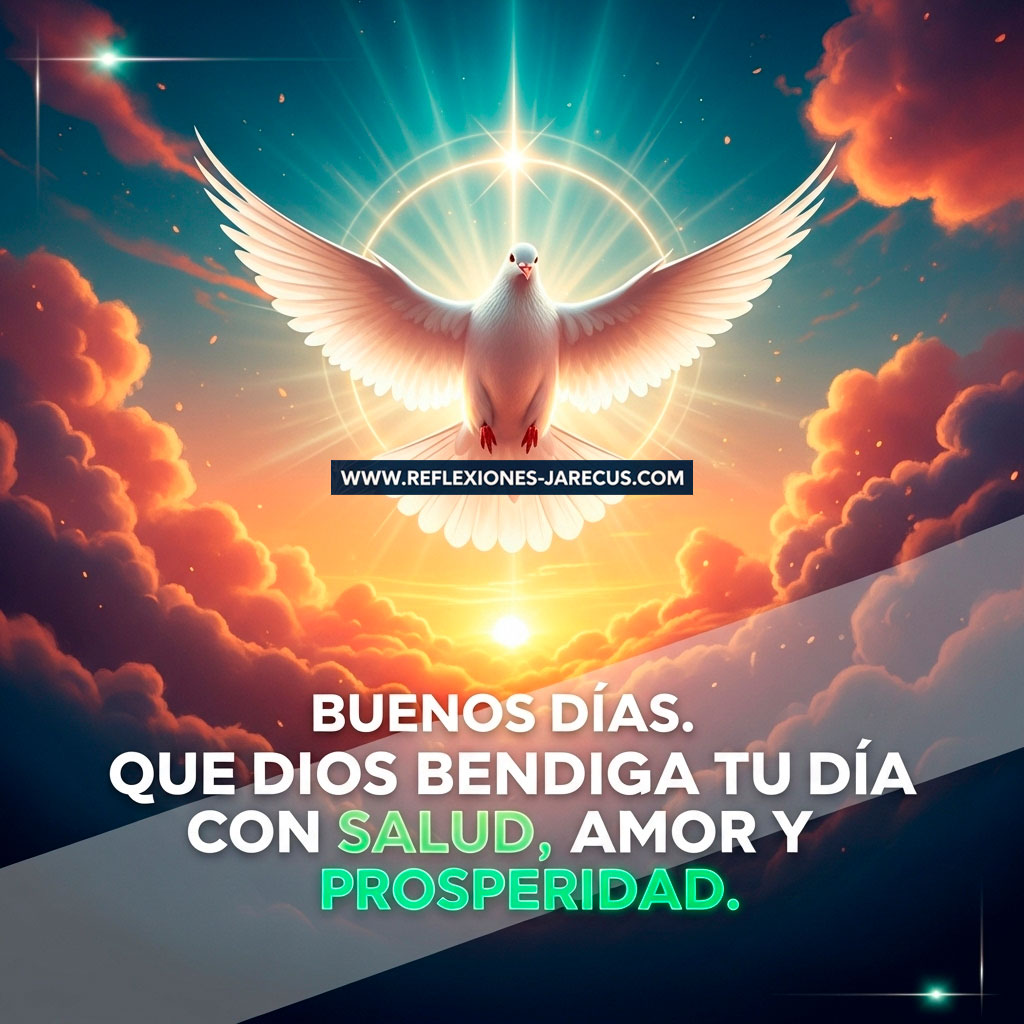Imagen con una paloma blanca brillante volando en un cielo de amanecer con rayos dorados atravesando nubes suaves. Fondo vibrante en tonos naranja, rosa y azul. Texto en español: "Buenos días. Que Dios bendiga tu día con salud, amor y prosperidad." en tipografía bold blanca con contorno verde esmeralda o dorado sobre una banda diagonal gris oscuro.